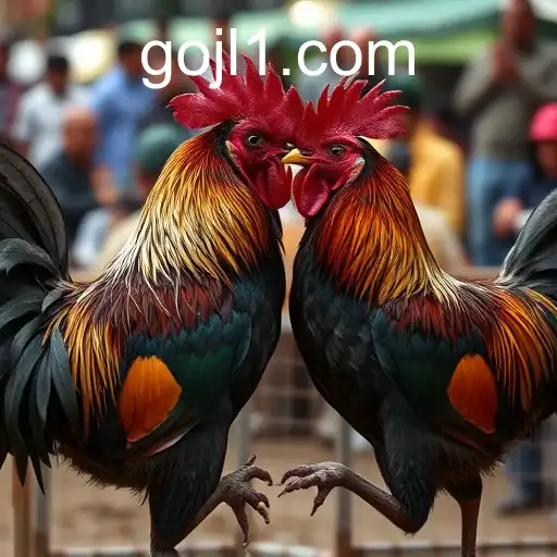The Complex World of Cockfighting: Gojl and Beyond